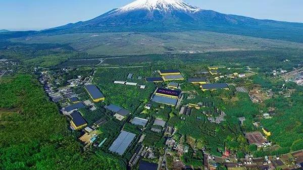 富士山麓的小黄人军团 | 没有它世界会停摆