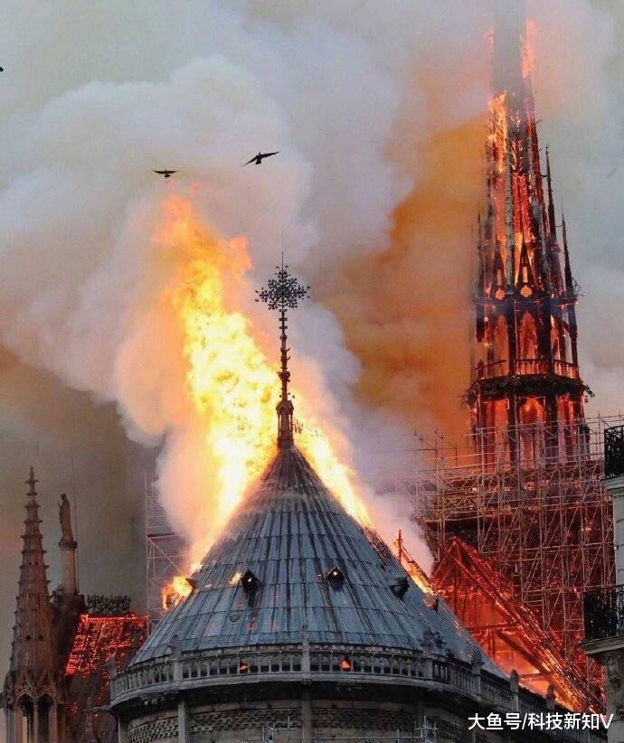 【Gucci母公司CEO将出资