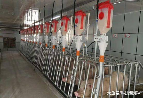 【京东进入生猪养殖业，与吉林精