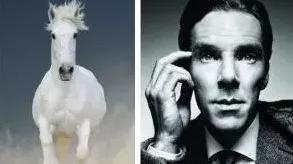 2018年我国人均阅读4.67本纸质书，你贡献了多少本？