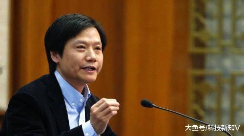 【差了250亿！雷军输掉了和董