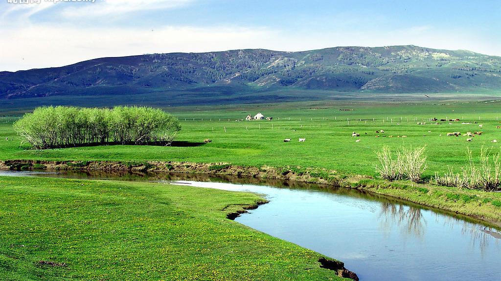 说说占我国国土面积百分之40的草原生态系统