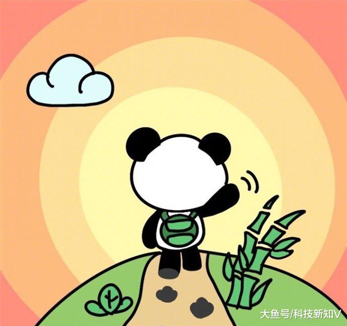 【熊猫直播发告别信，自内测起运