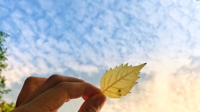 做人的“潜规则”（写的真好）