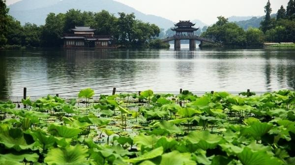 诗词名句赏析：这3句经典的写景名句，每一句都蕴含言外之意