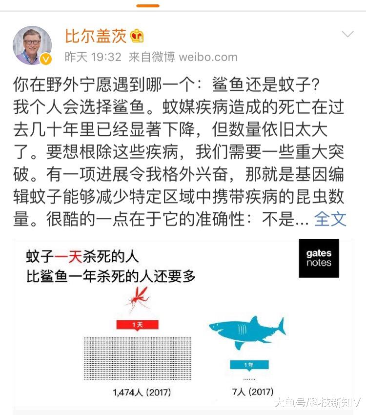 昨天下午七点半，微软的创始人比