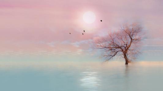 念念不忘，必有回响！