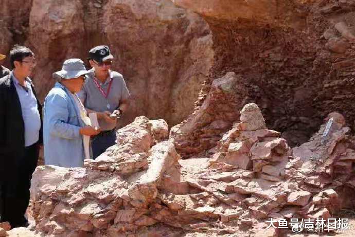 【重大发现！甘肃永靖再次发现巨