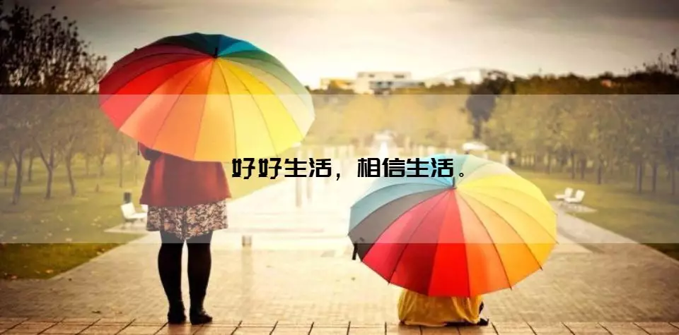 这一年，你过得还好吗？