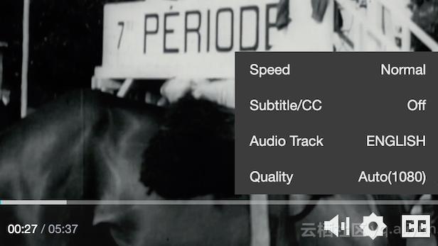 阿里云 Aliplayer高级功能介绍(五)：多语言