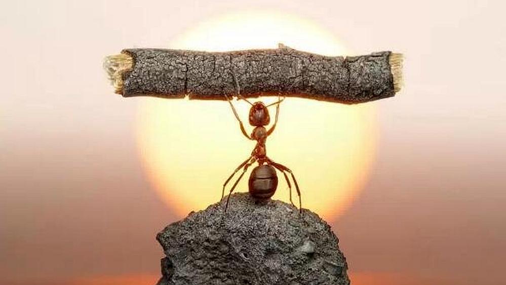 唯有强大了自己，生活才没办法欺负你