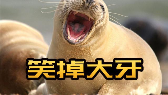 ​对小孩如此温柔，大人都是拿刀喂的 哈哈