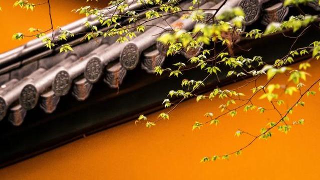 王维隐居山中写下一首诗，短短40字，惊艳了整个秋天