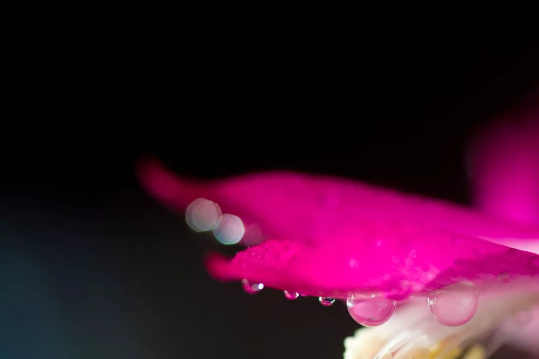 做一个心怀阳光的人