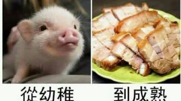 轻松一刻：从幼稚到成熟，我经历了太多，连味道都不一样了