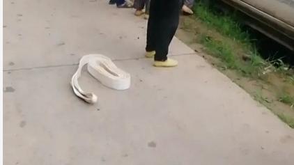 玉林市兴业县竹根冲附近，一辆皮卡冲出路边，撞在一根电线杆上