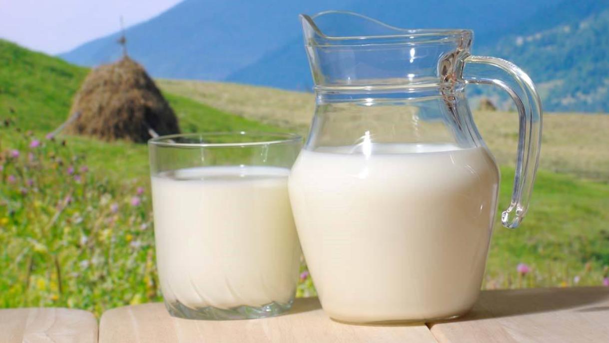 烹调牛奶与牛奶制品的原理，牛奶在烹调法中，被认为是高蛋白食物