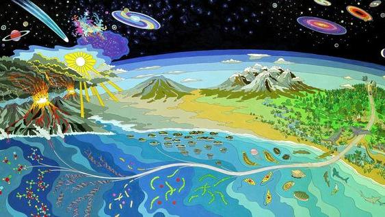 长江白鲟功能性灭绝，长江进入十年禁渔期，或许这也是人类的命运