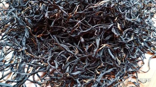 1951-1987 ▎四川从川红工夫红茶到红茶产业的崛起