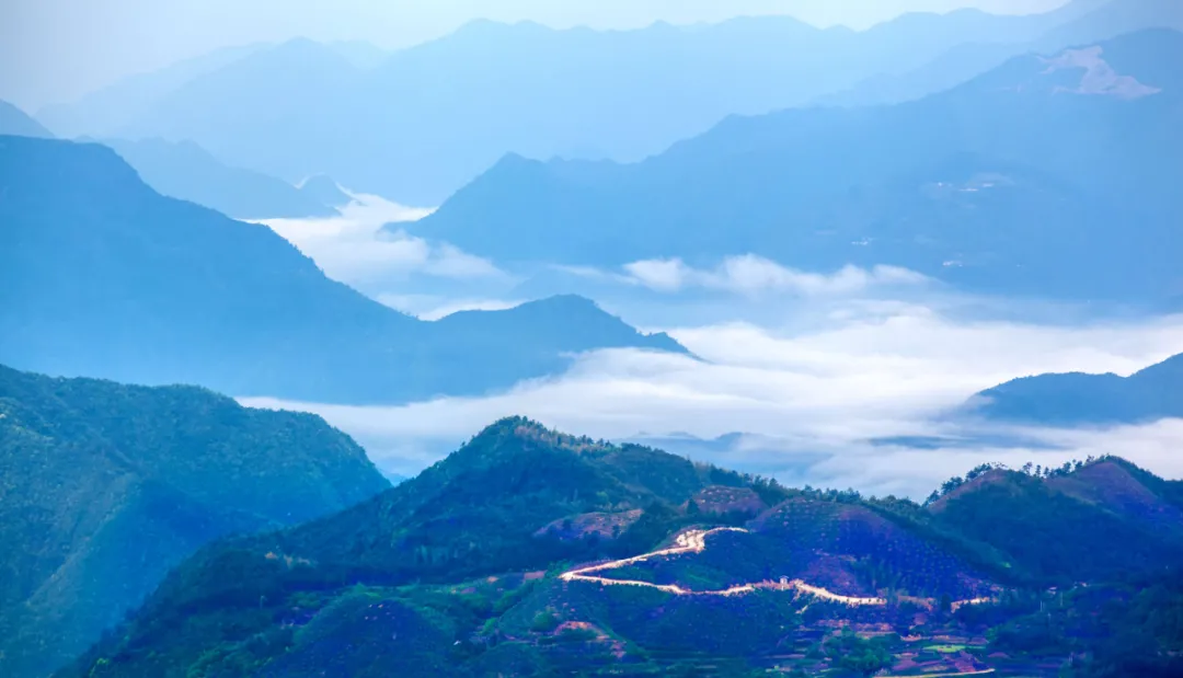 明朝一首小诗，勉励世人600年，写尽人生朝暮