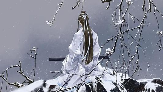 魏婴：蓝湛，能不能不撇下我独自前往，我想陪你一起去，可以吗