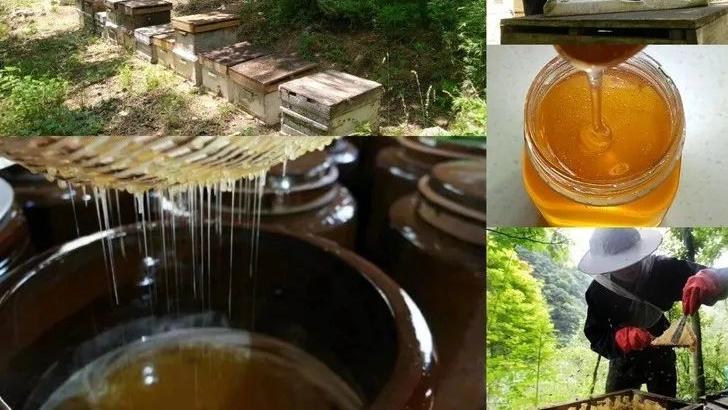 蜂蜜不会变质吗？