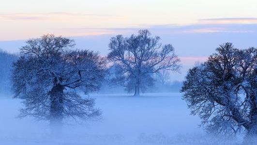 那些令人陶醉的诗词