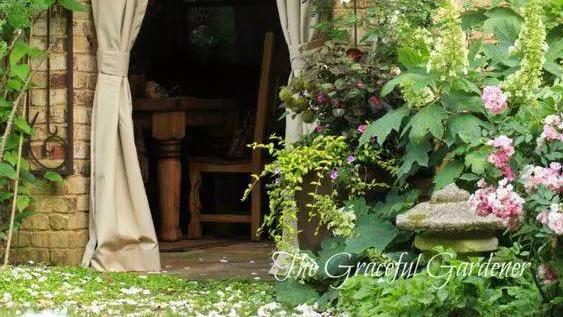 想要一个家  在房前屋后种满花