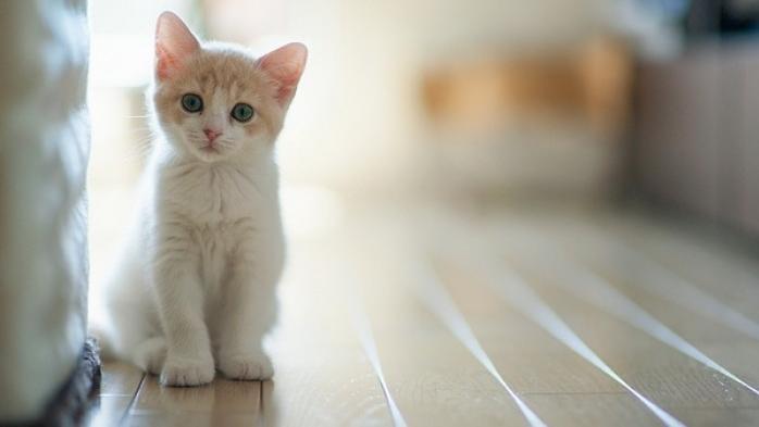 没钱就多读书，增长见识,  有钱就多旅行，感悟生活