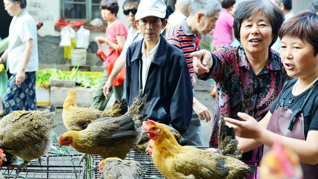 嫌牛肉猪肉贵那就买这肉，才8块1斤，抹上盐后出锅比白斩鸡还香