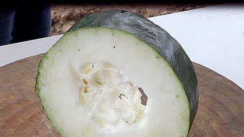 天气越来越热了，来一道快手菜冬瓜河虾，味道鲜美还清热解暑