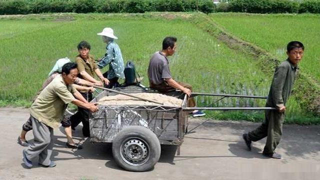 网友奔现回农村，被要求跪地磕头上坟：分手吧！我又不是来认亲的