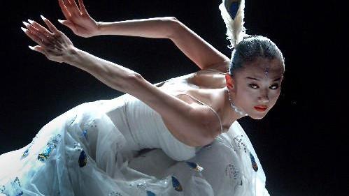 杨丽萍无儿女真失败评论上热搜 李若彤戚薇发文声援