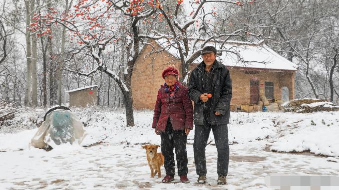 前沿大观察 八旬老人家中成熟柿子不摘，只为留给大雪中没有食物的鸟！