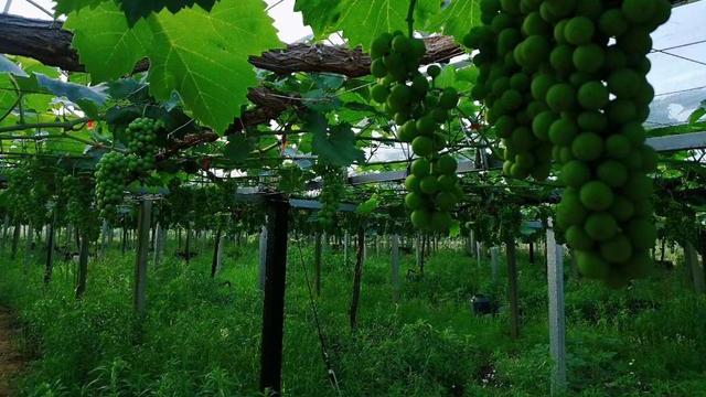 一到凉泉未拟归——永远的“凉泉铺”「“美丽家园”」 张松生