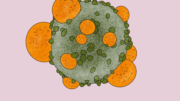 医生|身边人得癌症，会传染给自己吗？医生：警惕四种癌，传染可能性大