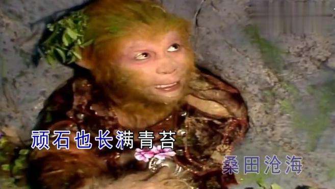 我觉得现在的我，就是那五指山下的孙悟空