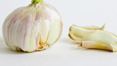 #营养膳食#发芽的大蒜能不能吃？原来这么有营养，不吃的可惜了，长见识了