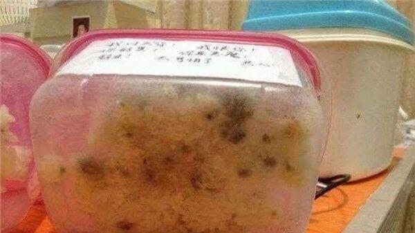 [花生]冰箱里的这几种食物, 扔了也别吃, 当心有致癌隐患