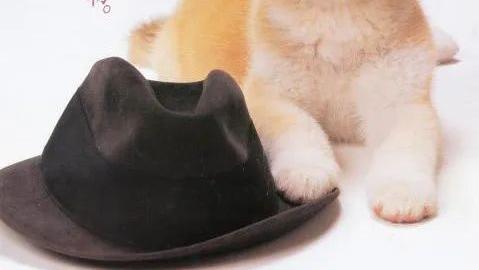 豆瓣推荐！值得N刷的日本影片