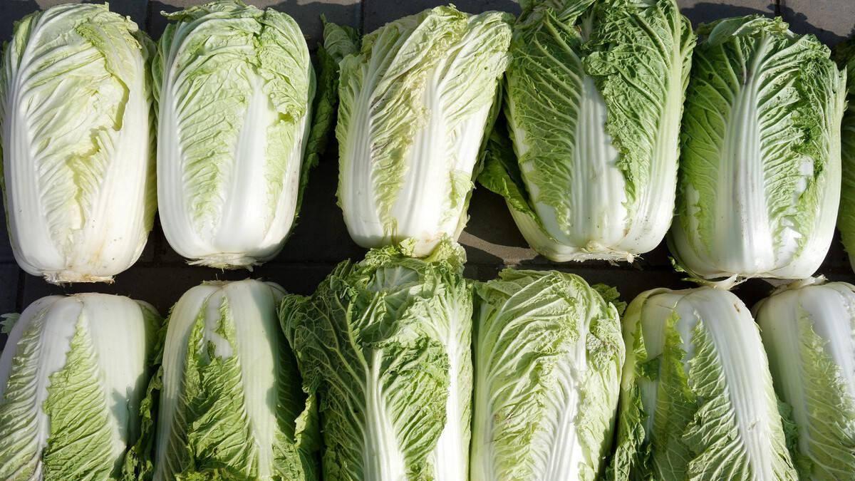 食材|东北人“猫冬”必备的5大食材，都囤在家里，不用出去买！