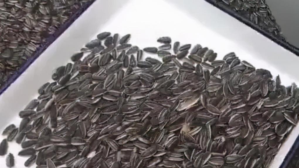 瓜子 减肥的人不能吃瓜子？提醒：要想远离小肚腩，这4种食物最好少吃