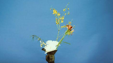 遇见小媛|成年人的真相：你不必对谁都一样