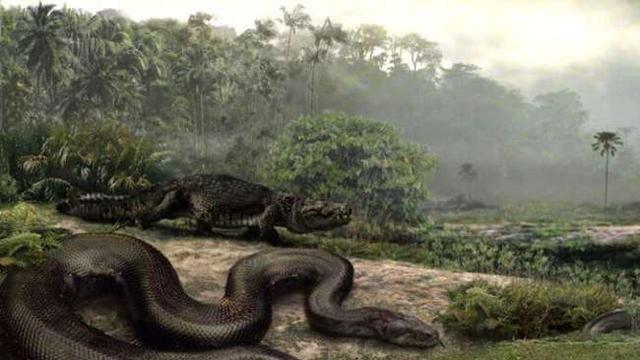 泰坦蟒 5800万年前，地球的一次“极热”事件，催生出体型最大的蛇