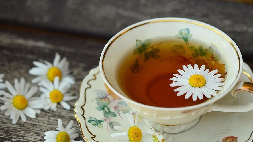 东方树叶进入更多年轻人的视野