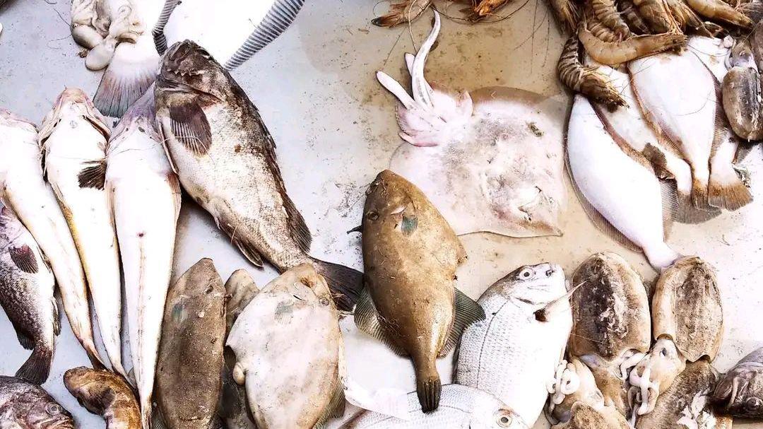 |开海啦！海鲜市场上这“4鱼3鲜”再爱吃也要忍住，鱼贩自己都不吃