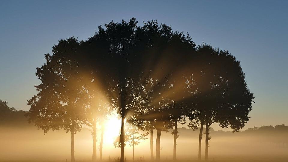 心安密码 这个世界上每一个人都不一样，你真实的样子就很好