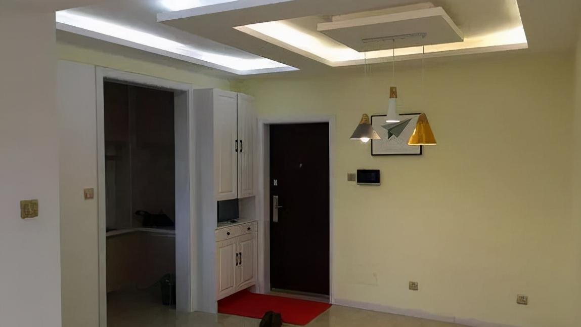 老公别出心裁在新房餐厅用吊兰做了“一堵墙”，发到网上马上火了