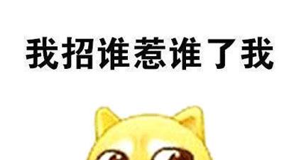 桉月|表情包：我招惹谁了搞笑的表情
