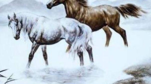 惊艳我年少时光|生肖马：下半年开始横财不断，钱财滚滚进家门，生活富贵无忧